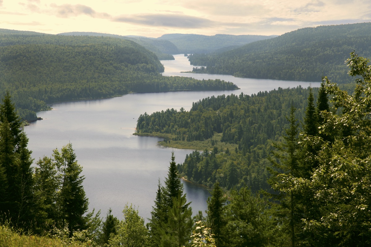 Vue aérienne sur le Parc national de la Mauricie.