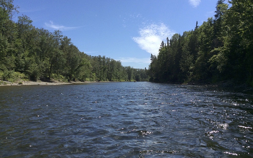 Vue rapproché d'une rivière pendant une balade à pied.